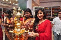 Madhavi Latha Launches Shree Parinayaa Sarees Showroom